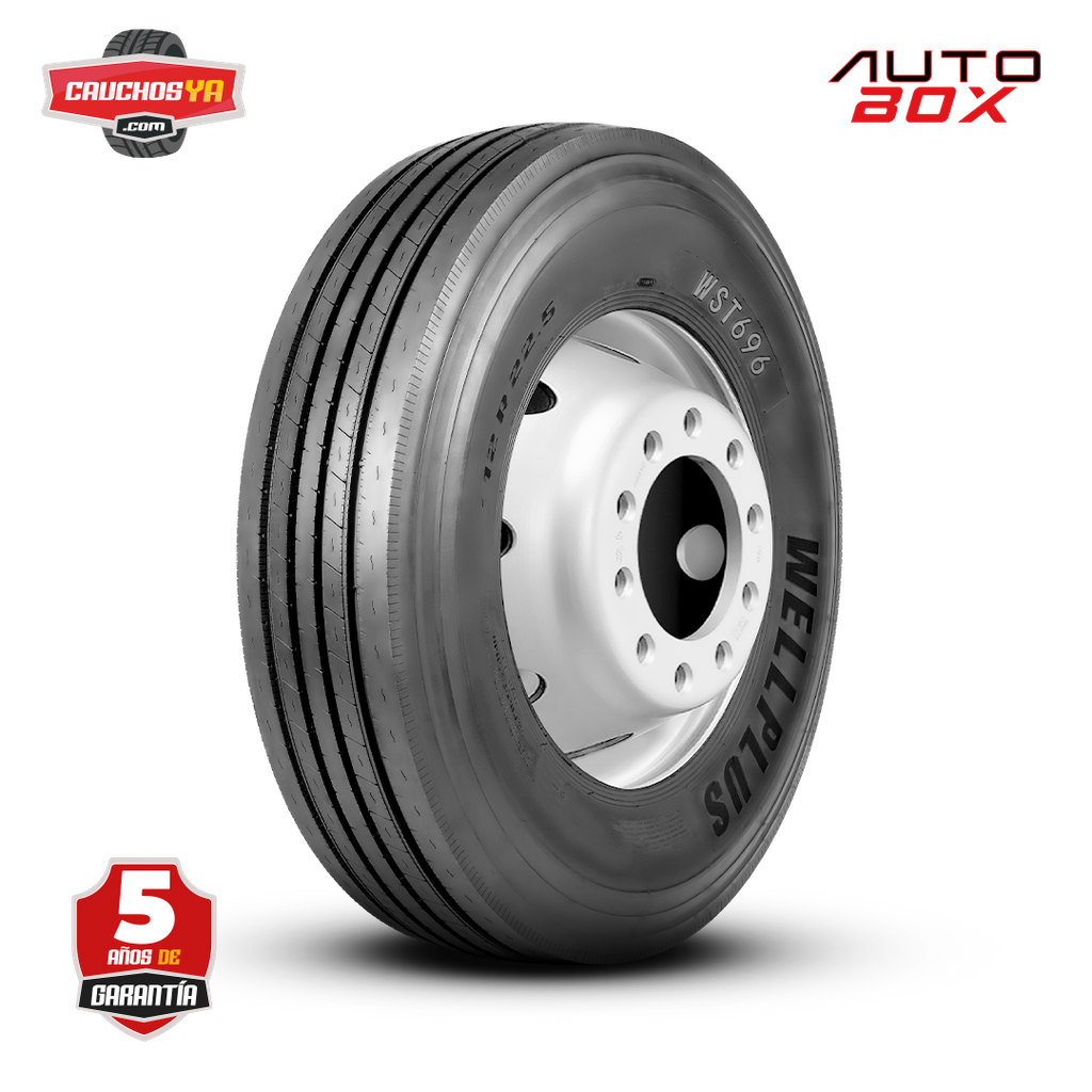 12R22.5 18PR DIREC 152/148M WST696 WELLPLUS