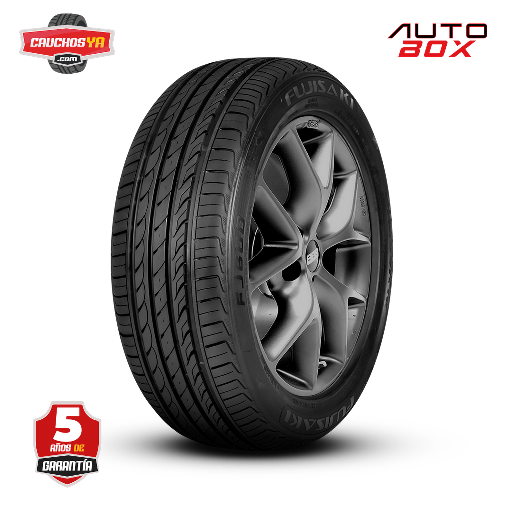 165/65R13 77T FJ600 FUJISAKI
