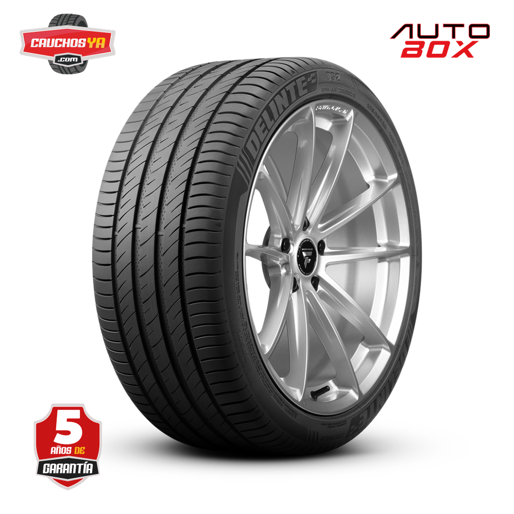 215/60R17 100H DS2 DELINTE